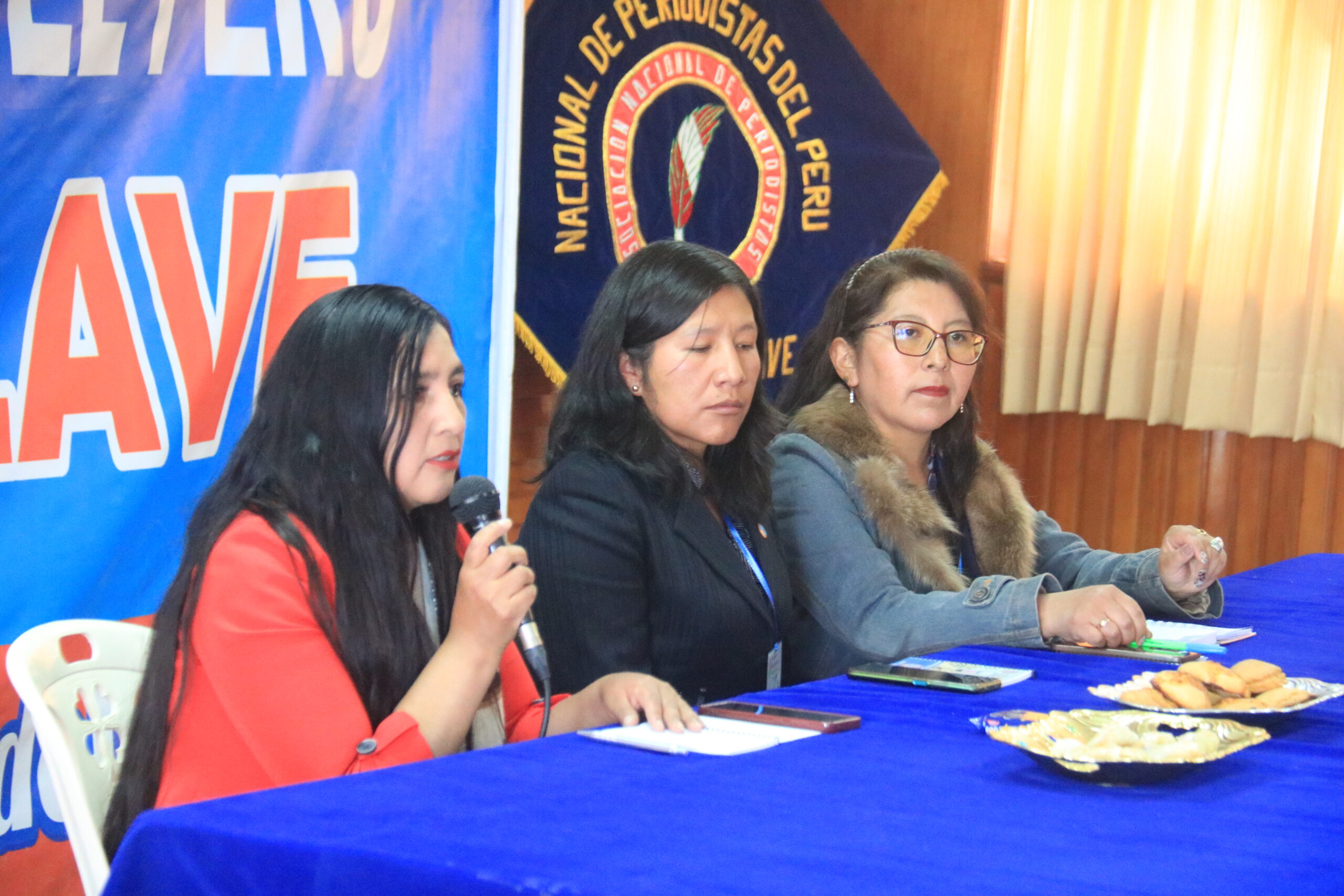 IV Encuentro Regional de Mujeres Periodistas de Puno: desafíos a nivel local